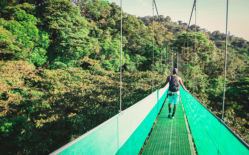 Sky Walk and Sky Trek