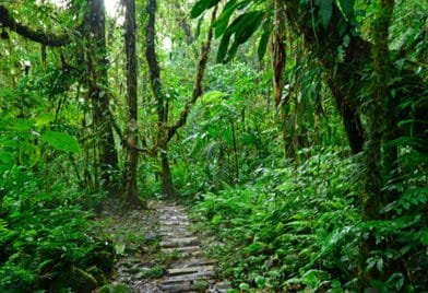 Medio dia en La Marta desde Turrialba