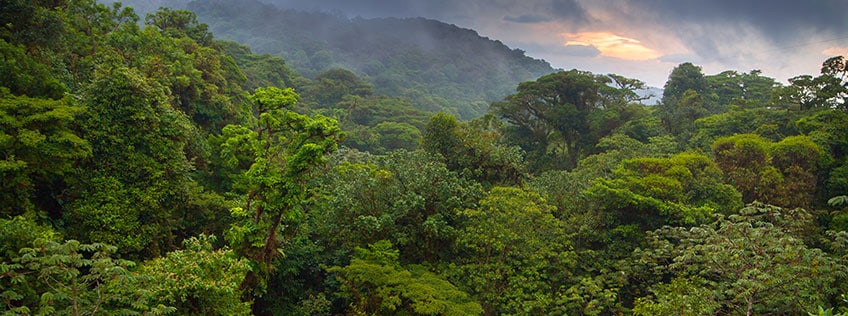 Áreas Naturales y de Conservación