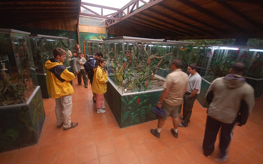 Monteverde Costa Rica, Herpetarium