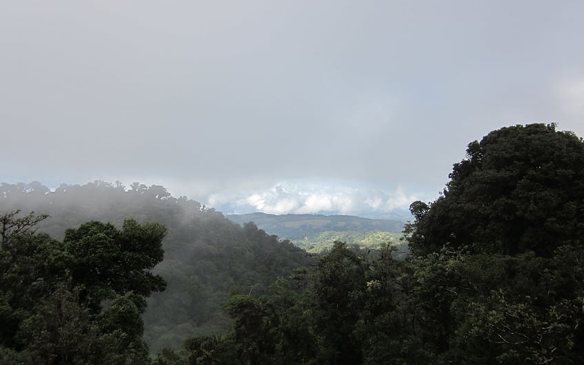 Monteverde Costa Rica, Monteverde Cloud Forest Reserve