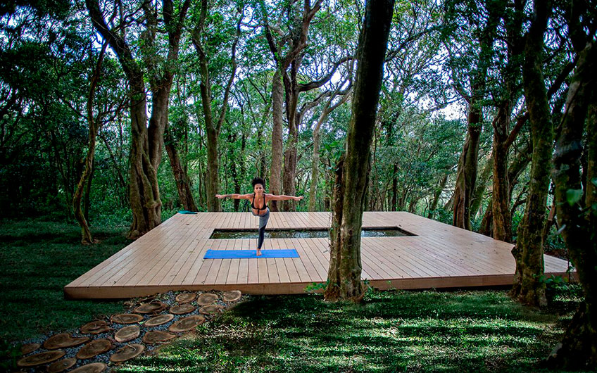 New forest bathing and yoga deck in Chayote Lodge - Travel Excellence