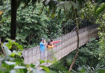 Puentes Colgantes Del Arenal