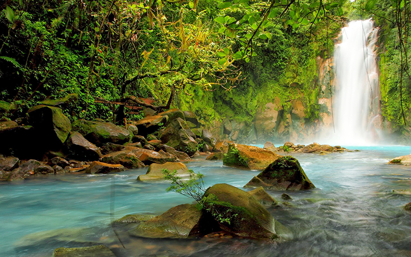 Rio Celeste ist definitiv einer der 10 besten Orte, die man im Urlaub in Costa Rica besuchen sollte. Seine unvergleichliche Schönheit wird jeden sprachlos machen.