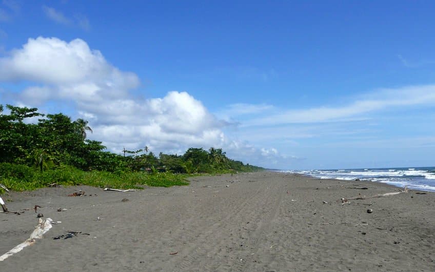 Tortuguero Beach Costa Rica