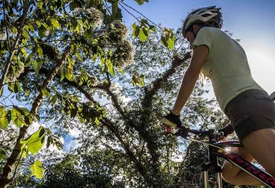 Tour en bicicleta por Lago Arenal