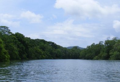 Tamarindo Mangrove & Estuary