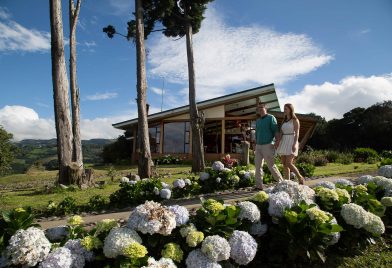 Hotel Chayote Lodge