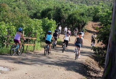 Tour en bicicleta por Catie