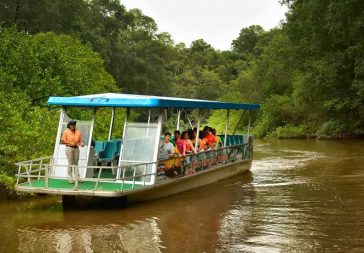 Boat Ride Through Jungle River And Crocodile Adventure
