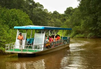 Paseo en bote y aventura de cocodril