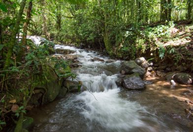 Bosque De Paz Lodge