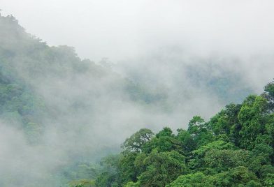 Santa Elena Biological Reserve