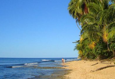 Cahuita And Puerto Vargas National Park