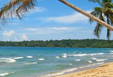 Cahuita And Puerto Vargas National Park