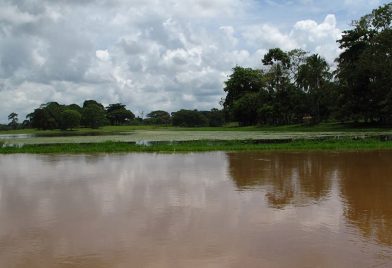 Caño Negro Wildlife Refuge