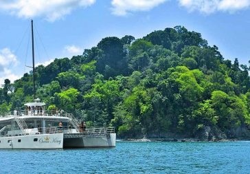 Catamaran Tour: Nature Or Sunset