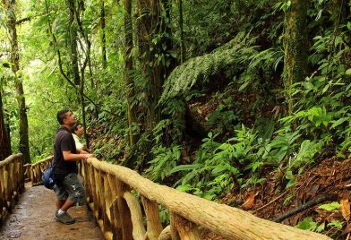 Caminata a Rio Celeste