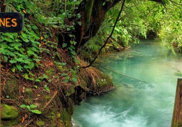 Caminata a Rio Celeste