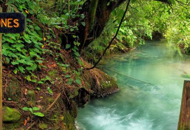 Caminata a Rio Celeste