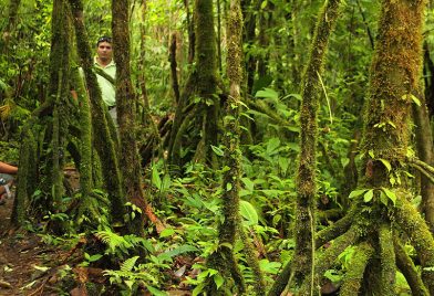 Caminata a Rio Celeste