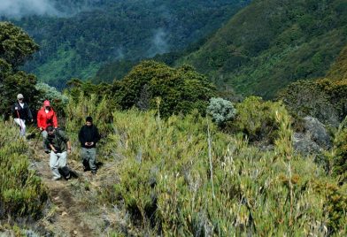 Walking To Cerro De La Muerte