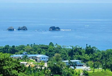 Hotel Cristal Ballena