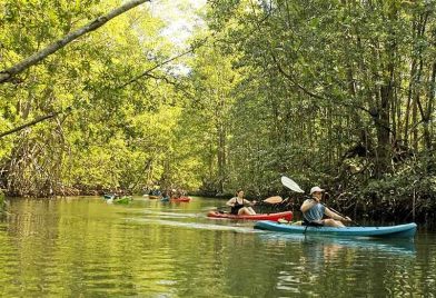 Tour en bote en Isla Damas