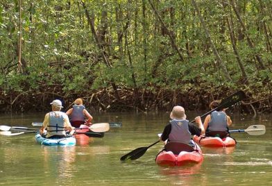 Tour en bote en Isla Damas