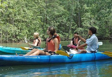 Damas Island Boat Tour