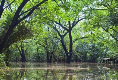 Tour Humedales Palo Verde - Rio Tempisque