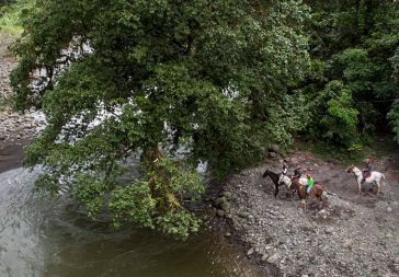 Horseback Riding In Sarapiqui