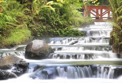 Volcán Arenal Y Aguas Termales Tabacon