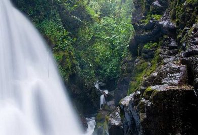 La paz waterfall gardens 