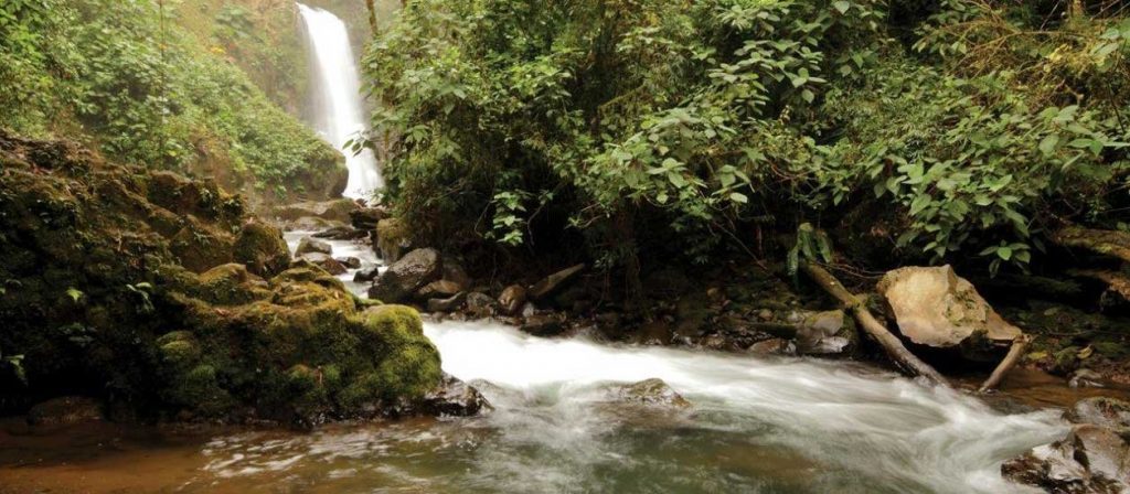 la paz waterfall gardens