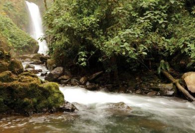 Jardines Cataratas de La Paz