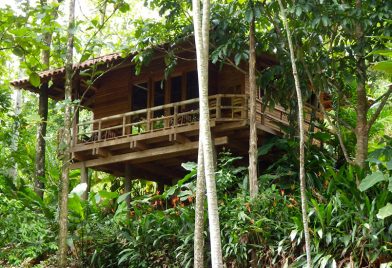 Macaw Lodge