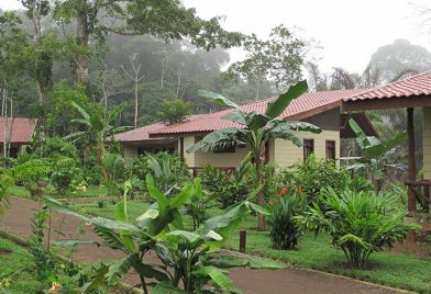 Maquenque Eco‐lodge