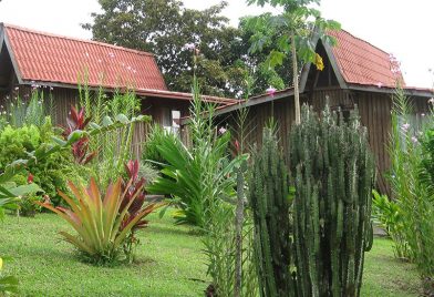 Hotel Pedacito de Cielo