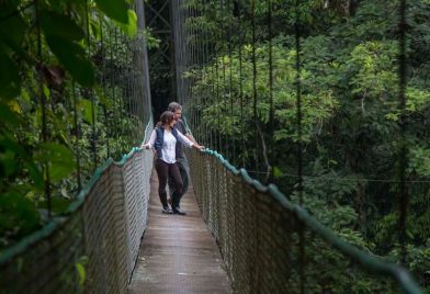 Tour de Un Día a Hacienda Pozo Azul