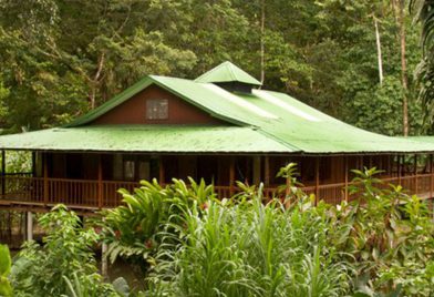 Selva Verde Lodge piscina