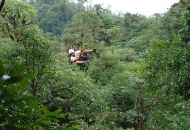 Tarzan swing