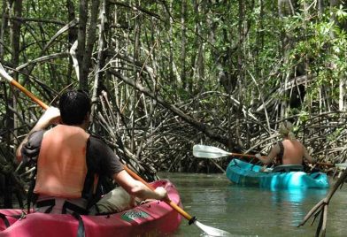 Tour en bote en Isla Damas