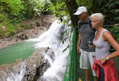 Veragua Rainforest